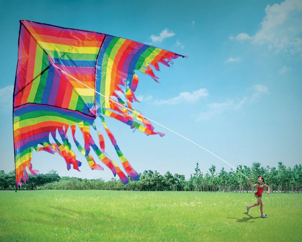 DTC Capital City Kite
